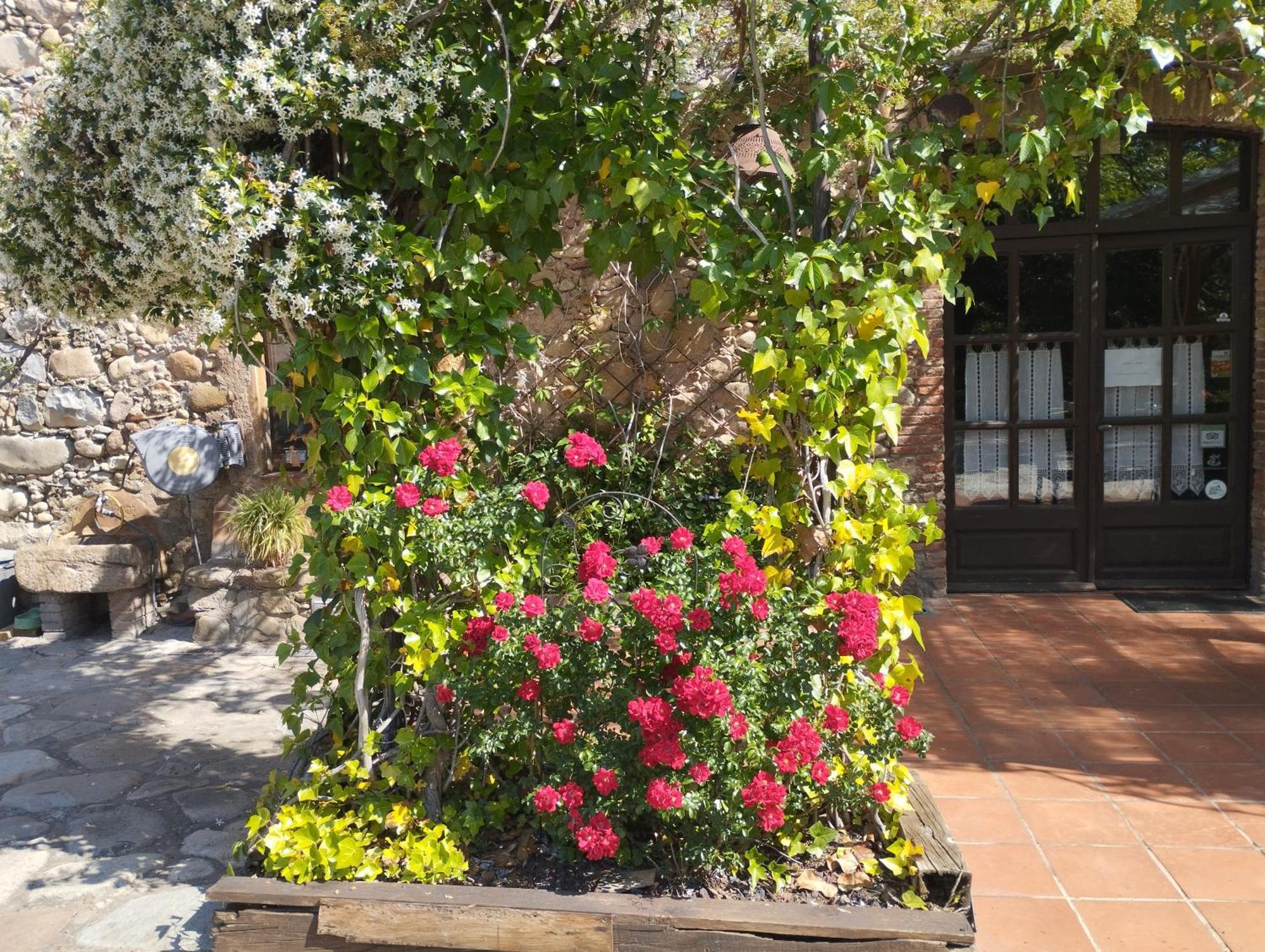 Casa Rural Can Jepet La Cellera de Ter ภายนอก รูปภาพ