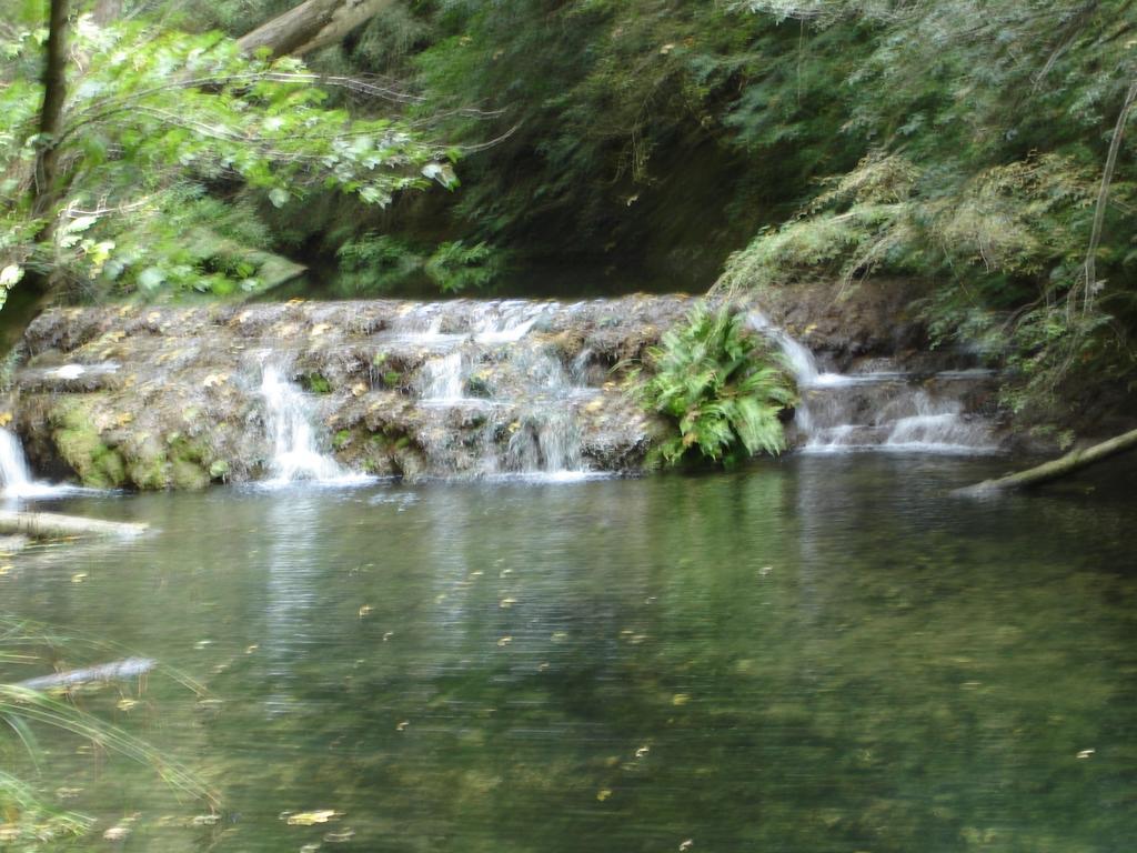 Casa Rural Can Jepet La Cellera de Ter ภายนอก รูปภาพ